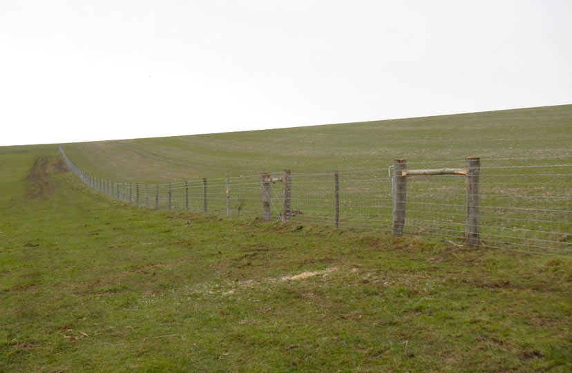 Tim Bennett Stock Fencing