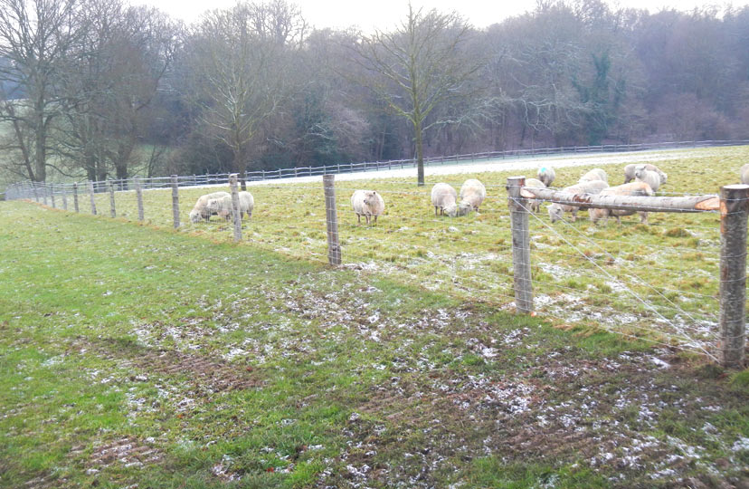 Tim Bennett Stock Fencing